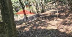 Terreno / Lote / Condomínio à venda, 4018m² – Recanto das Araucarias