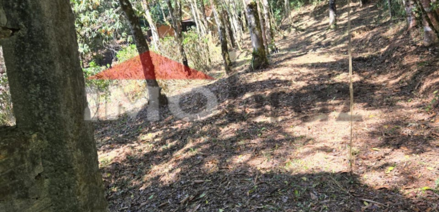 Terreno / Lote / Condomínio à venda, 4018m² – Recanto das Araucarias