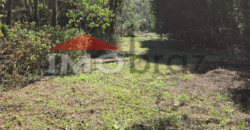 Terreno / Lote / Condomínio à venda, 4018m² – Recanto das Araucarias
