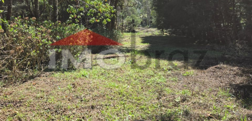 Terreno / Lote / Condomínio à venda, 4018m² – Recanto das Araucarias
